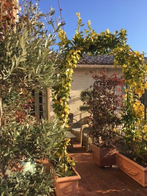 Domaine Le Bois Des Dames Bed & Breakfast Chantemerle-lès-Grignan Exterior photo