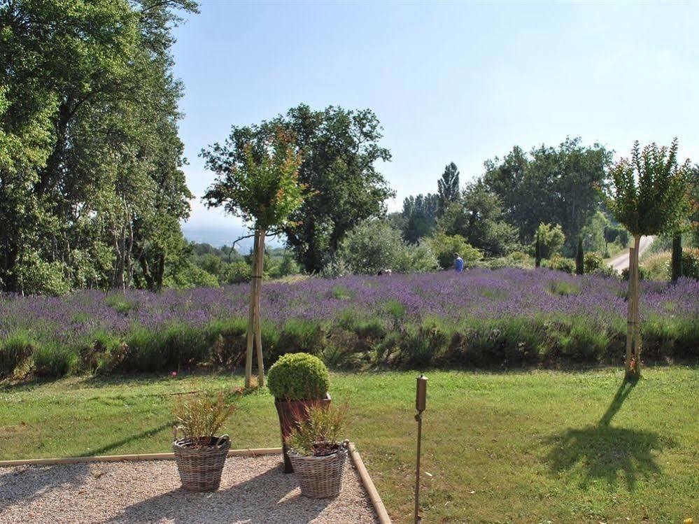 Domaine Le Bois Des Dames Bed & Breakfast Chantemerle-lès-Grignan Exterior photo